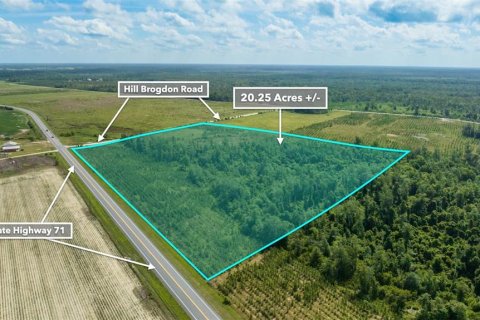 Terreno en venta en Wewahitchka, Florida № 1255564 - foto 30