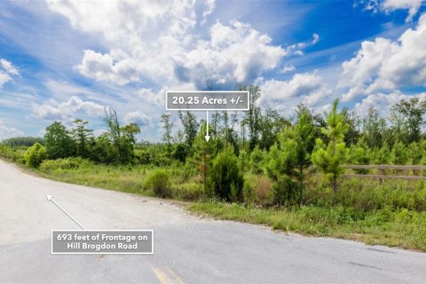 Terreno en venta en Wewahitchka, Florida № 1255564 - foto 22