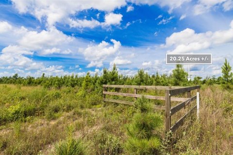 Terreno en venta en Wewahitchka, Florida № 1255564 - foto 28