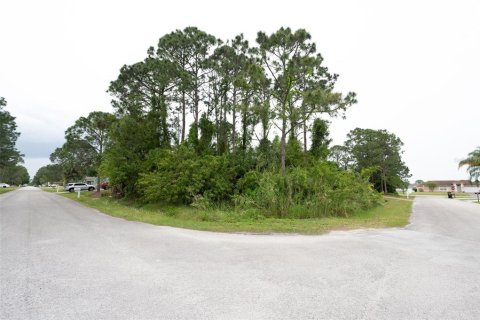 Купить земельный участок в Палм-Бей, Флорида № 1105462 - фото 2