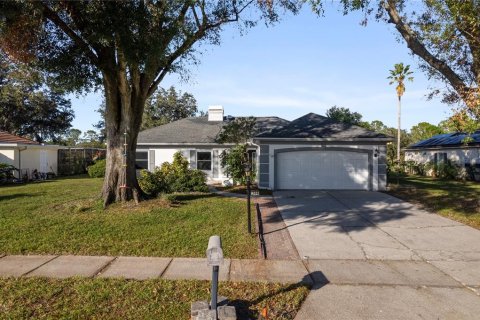 House in Tampa, Florida 3 bedrooms, 189.8 sq.m. № 1436081 - photo 1