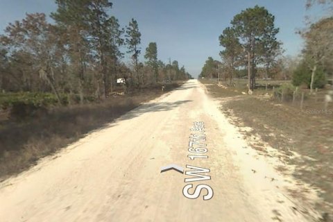 Land in Ocala, Florida № 1246174 - photo 3