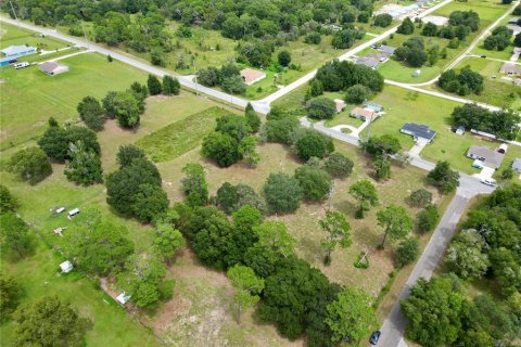 Terrain à vendre à Dunnellon, Floride № 1366324 - photo 4