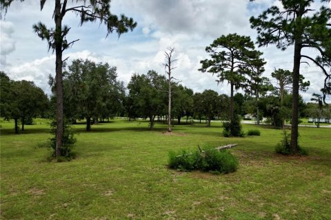 Terrain à vendre à Dunnellon, Floride № 1366324 - photo 18