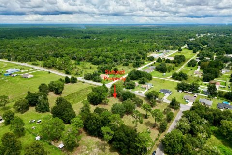 Land in Dunnellon, Florida № 1366324 - photo 3