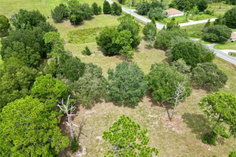 Terreno en venta en Dunnellon, Florida № 1366324 - foto 17