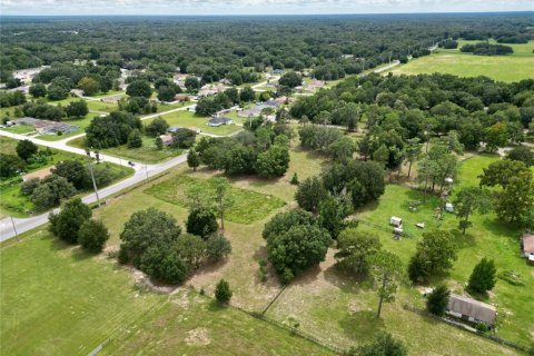 Terreno en venta en Dunnellon, Florida № 1366324 - foto 10