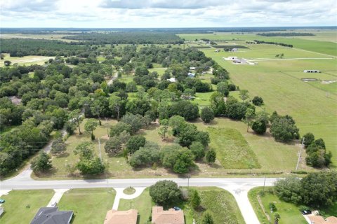 Terreno en venta en Dunnellon, Florida № 1366324 - foto 7