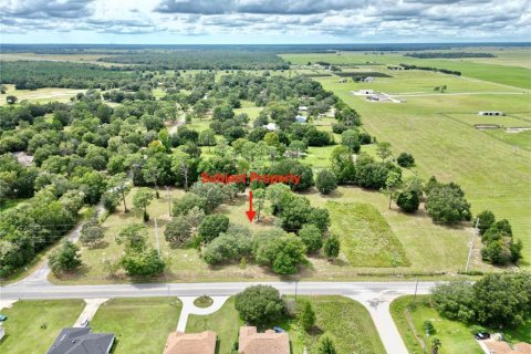 Terreno en venta en Dunnellon, Florida № 1366324 - foto 6