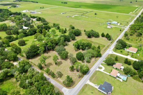 Land in Dunnellon, Florida № 1366324 - photo 16