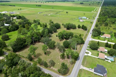 Land in Dunnellon, Florida № 1366324 - photo 5