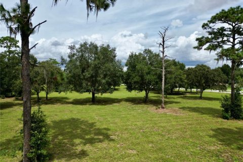 Terrain à vendre à Dunnellon, Floride № 1366324 - photo 20