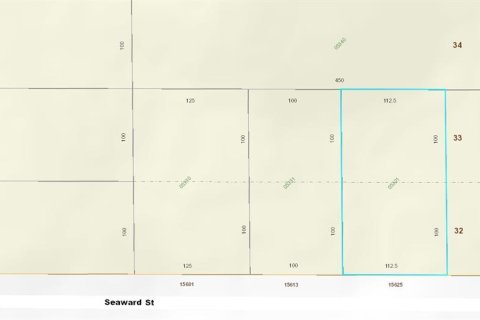 Terreno en venta en Orlando, Florida № 1366358 - foto 3