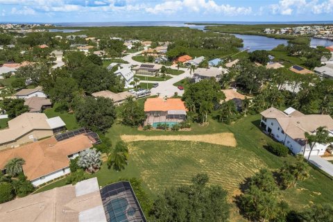 Villa ou maison à vendre à New Port Richey, Floride: 3 chambres, 157.38 m2 № 1323808 - photo 29