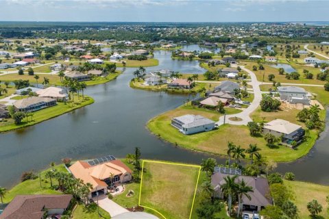 Land in Punta Gorda, Florida № 1144729 - photo 5