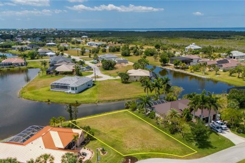 Land in Punta Gorda, Florida № 1144729 - photo 2