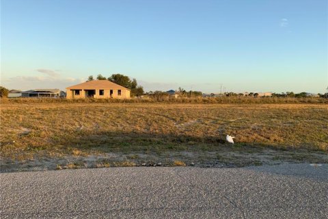 Купить земельный участок в Кейп-Корал, Флорида № 362395 - фото 4