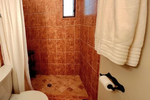 Condo in Boynton Beach, Florida, 2 bedrooms  № 1118694 - photo 15