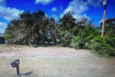 Terrain à vendre à Cape Coral, Floride № 1005964 - photo 1