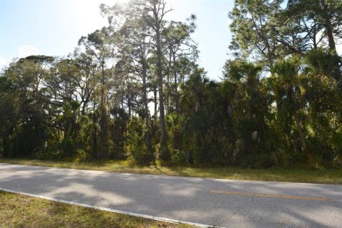 Terreno en venta en Port Charlotte, Florida № 828974 - foto 3