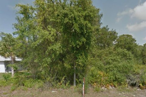 Купить земельный участок в Порт-Шарлотт, Флорида № 814294 - фото 1