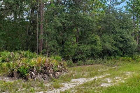 Terrain à vendre à Keystone Heights, Floride № 1372154 - photo 5