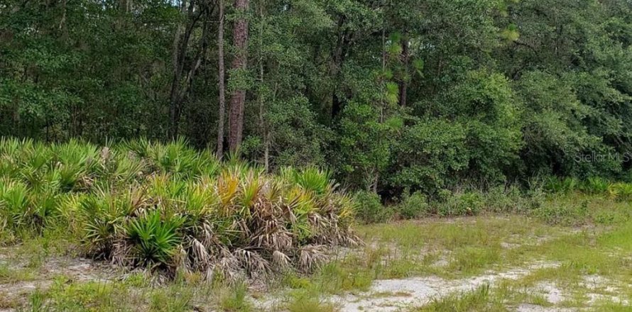 Terrain à Keystone Heights, Floride № 1372154