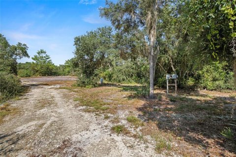 Land in Fort MC Coy, Florida № 1378323 - photo 8