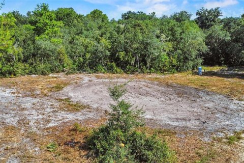 Land in Fort MC Coy, Florida № 1378323 - photo 7