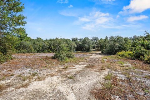 Land in Fort MC Coy, Florida № 1378323 - photo 4