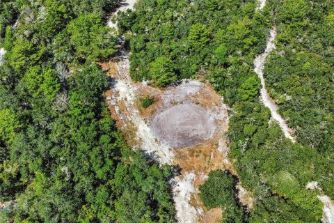 Land in Fort MC Coy, Florida № 1378323 - photo 18