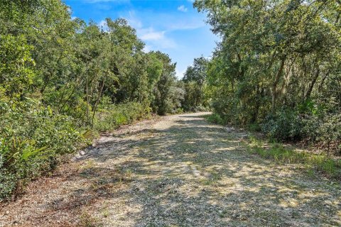 Land in Fort MC Coy, Florida № 1378323 - photo 1