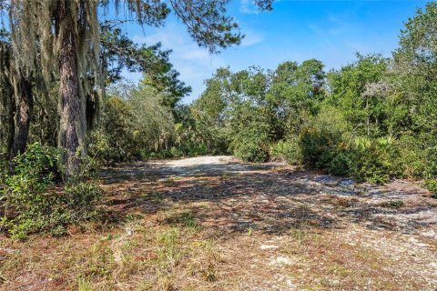 Land in Fort MC Coy, Florida № 1378323 - photo 10