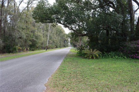 Terrain à vendre à DeLand, Floride № 214592 - photo 2