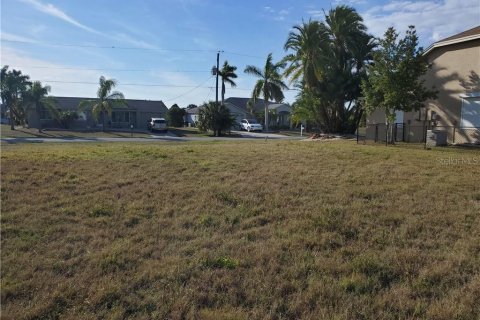 Купить земельный участок в Порт-Шарлотт, Флорида № 213730 - фото 5