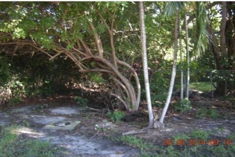 Terrain à vendre à Dania Beach, Floride № 970563 - photo 2