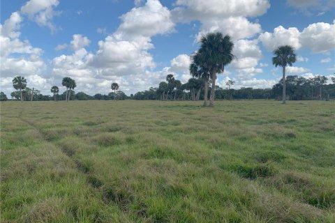 Купить земельный участок в Окичоби, Флорида № 928903 - фото 2