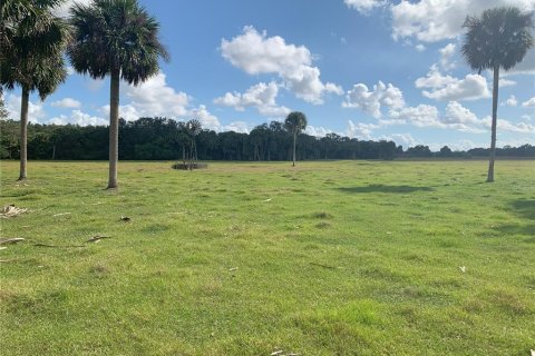 Купить земельный участок в Окичоби, Флорида № 928903 - фото 11