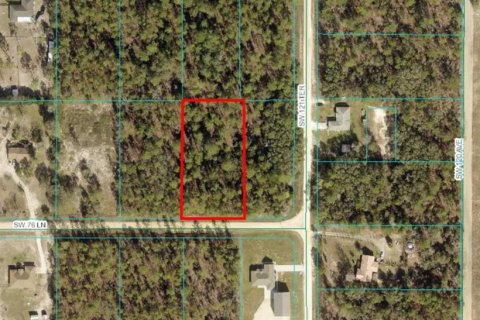 Terreno en venta en Dunnellon, Florida № 1407259 - foto 1