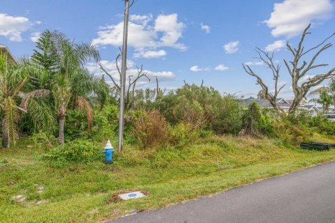 Купить земельный участок в Палм-Кост, Флорида № 751386 - фото 2