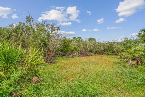 Купить земельный участок в Палм-Кост, Флорида № 751386 - фото 4
