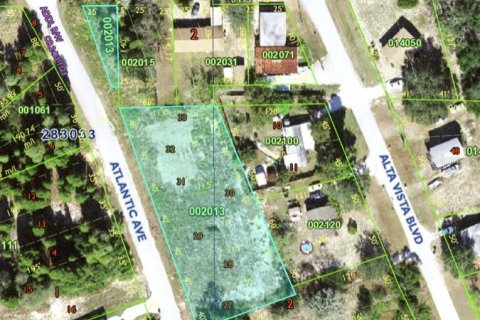 Land in Babson Park, Florida № 1366957 - photo 2