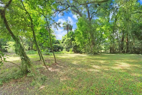 Terreno en venta en Dade City, Florida № 1312885 - foto 9