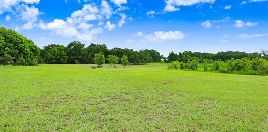 Terrain à Dade City, Floride № 1312885