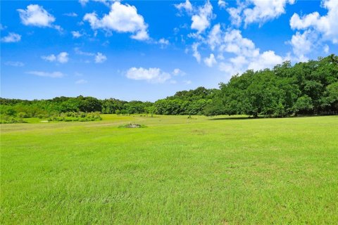 Terreno en venta en Dade City, Florida № 1312885 - foto 5