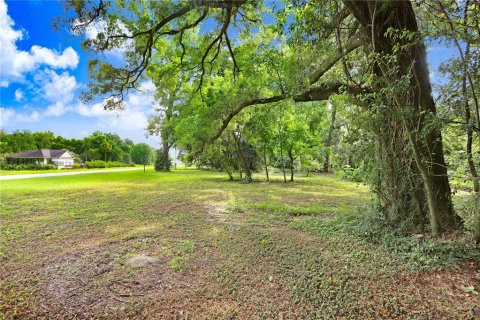 Terreno en venta en Dade City, Florida № 1312885 - foto 10