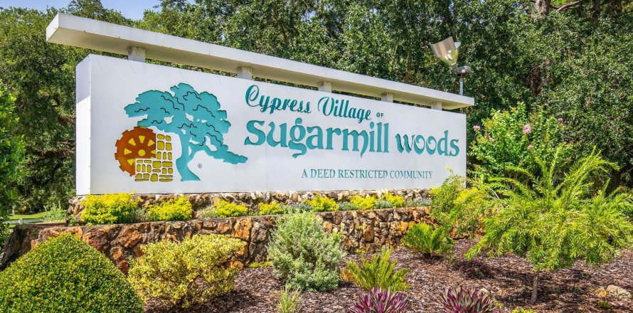 Sugarmill Woods sobre plano en Homosassa, Florida № 392666