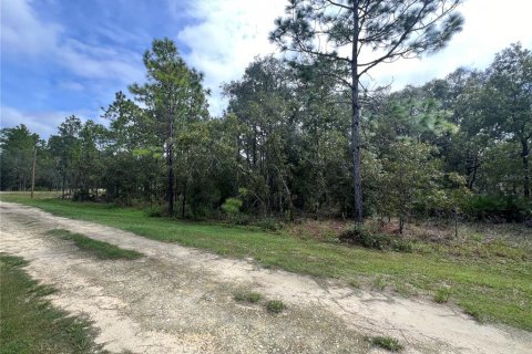 Terreno en venta en Dunnellon, Florida № 1362810 - foto 1