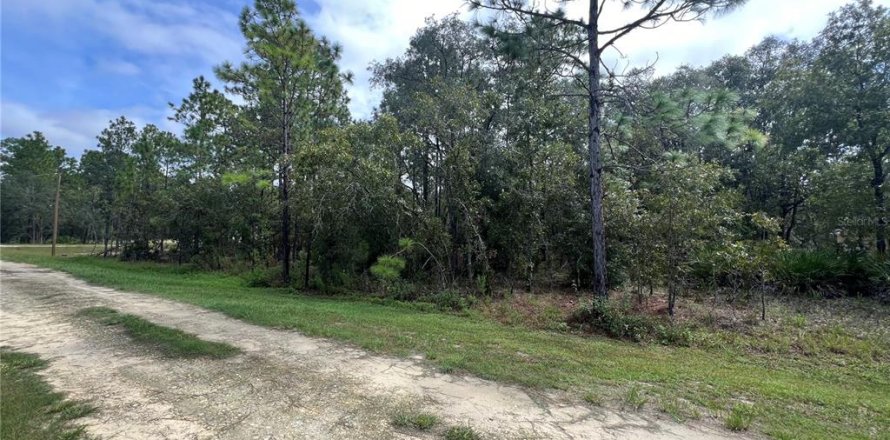 Terrain à Dunnellon, Floride № 1362810