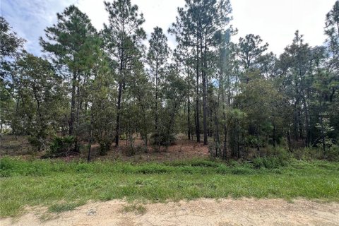 Terreno en venta en Dunnellon, Florida № 1362810 - foto 2